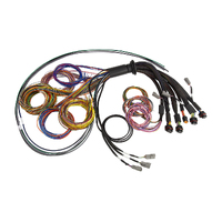Haltech Nexus R5 Universal Wire-In harness- 5M (16')