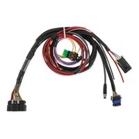 Holley Sniper 2 EFI PDM Main Harness