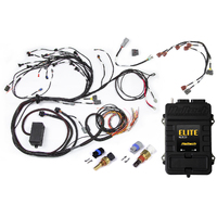 Haltech RB Twin CAM Elite 2500 ECU, Main Harness, CAS Breakout, Earl