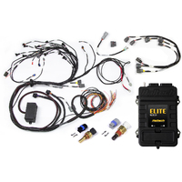 Haltech RB Twin CAM Elite 2500 ECU, Main Harness, CAS Breakout, Late