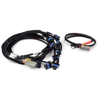 Haltech Nexus V8 IGN-1A Ford Harness